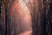 九游:朱婷、李盈莹携手获最佳主攻!朱婷:最终梦想是身披中国球衣站在场上大皖新闻.