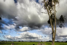 九游:老卡隆执教塞拉利昂 中超叔侄国家队聚首?.