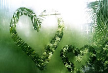 九游:布朗尼被下放到发展联盟 有望本周日迎来首秀.