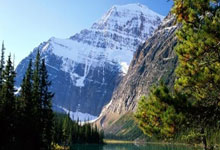 九游:布朗尼被下放到发展联盟 有望本周日迎来首秀.